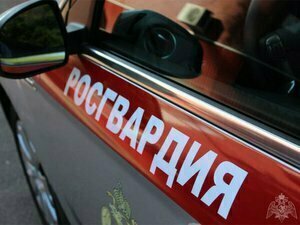 Описание изображения