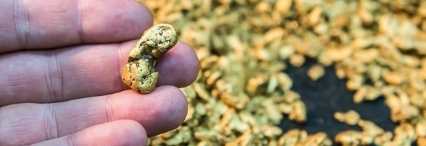 Золотые самородки, разного размера и конфигурации, которые в дальнейшем будут дополнять ювелирную композицию, созданную мастерами-ювелирами.